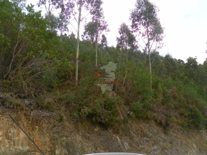 Terreno para Venda em Alvaro Foto 4