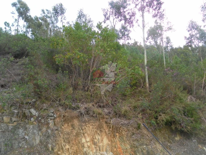 Terreno para Venda em Alvaro Foto 3
