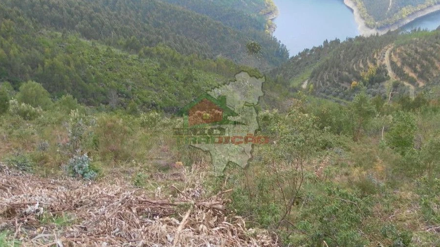 Terreno para Venda em Alvaro