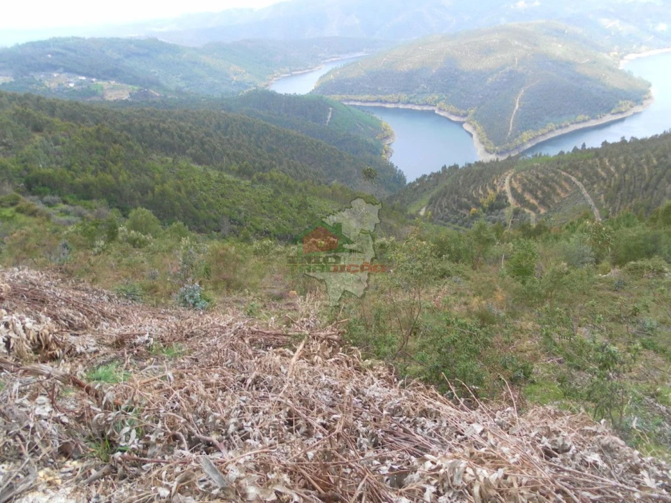 Terreno para Venda em Alvaro Foto 1