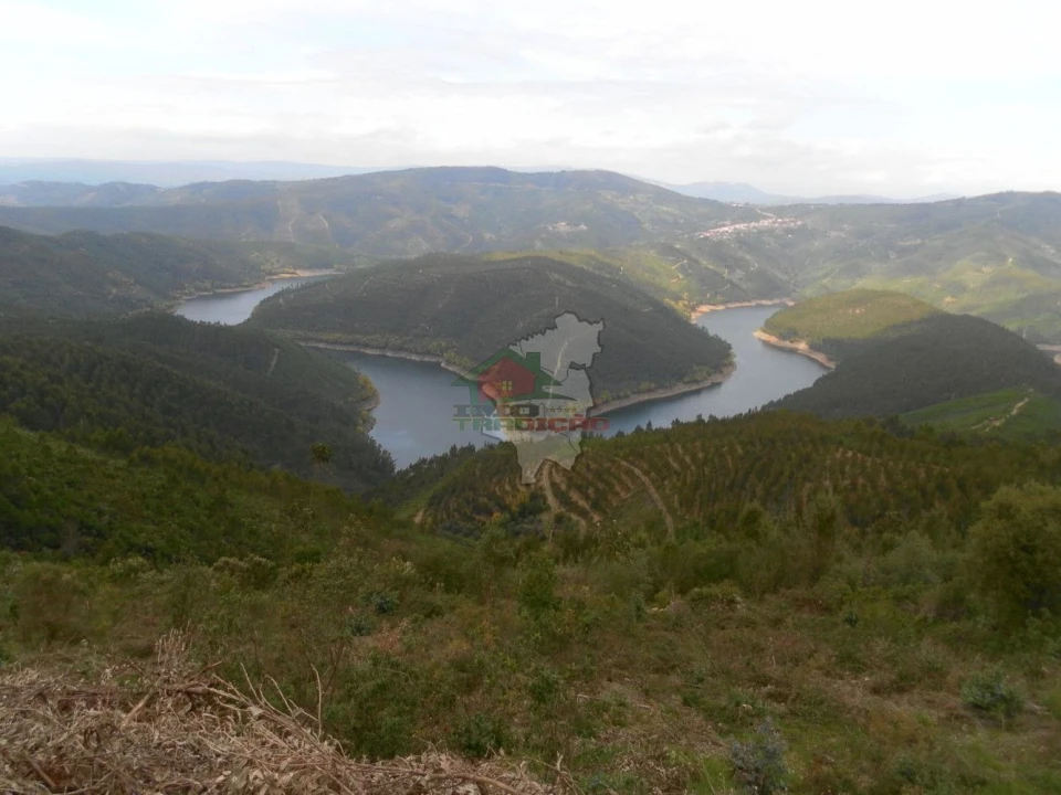 Terreno para Venda em Alvaro Foto 2