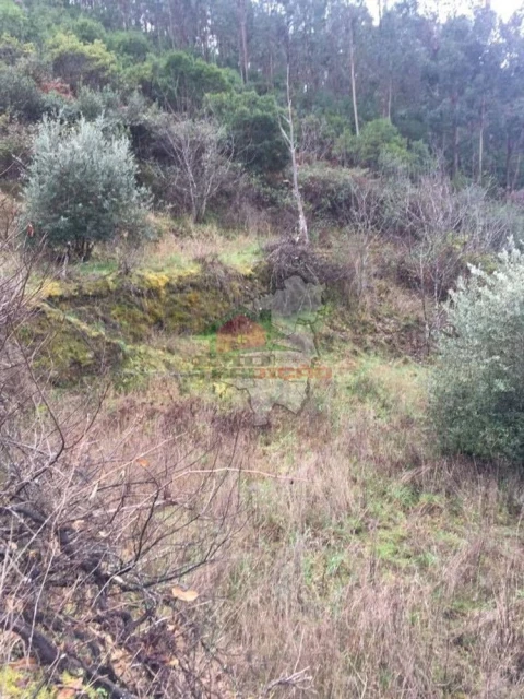 Terreno para Venda em Alvaro