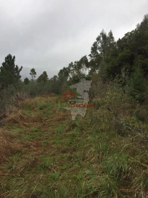 Terreno para Venda em Alvaro