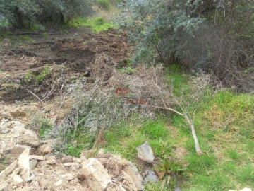 Terreno para Venda em Estreito-Vilar Barroco