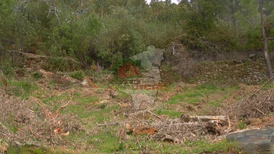 Terreno para Venda em Estreito-Vilar Barroco