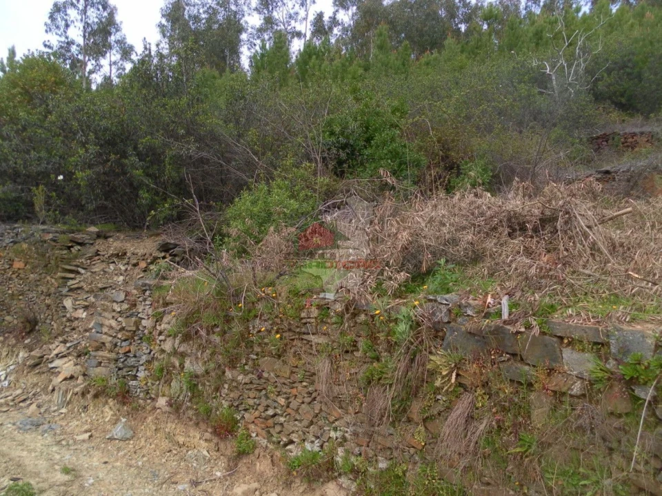 Terreno para Venda em Estreito-Vilar Barroco Foto 2