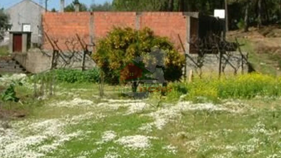 Terreno para Venda em Castelo