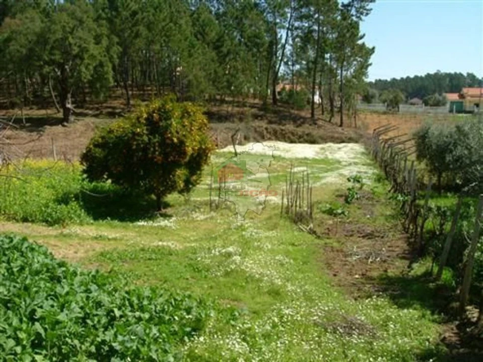 Terreno para Venda em Castelo Foto 5