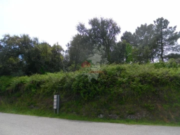 Terreno para Venda em Cernache do Bonjardim, Nesperal e Palhais