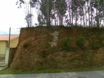 Terreno para Venda em Cernache do Bonjardim, Nesperal e Palhais