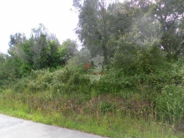 Terreno para Venda em Cernache do Bonjardim, Nesperal e Palhais