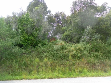 Terreno para Venda em Cernache do Bonjardim, Nesperal e Palhais