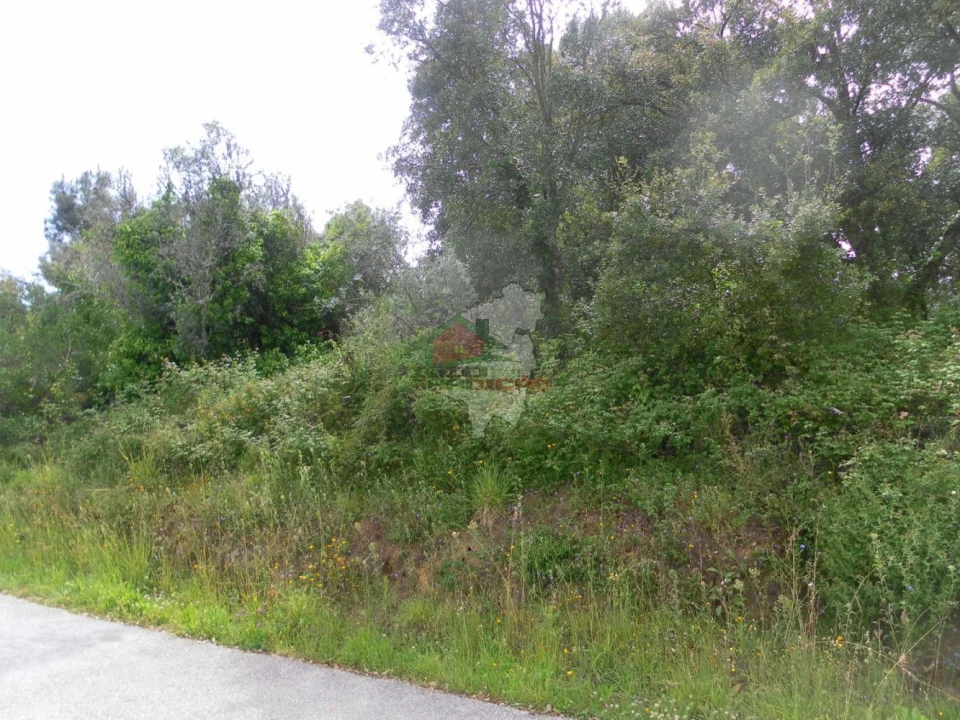 Terreno para Venda em Cernache do Bonjardim, Nesperal e Palhais Foto 1