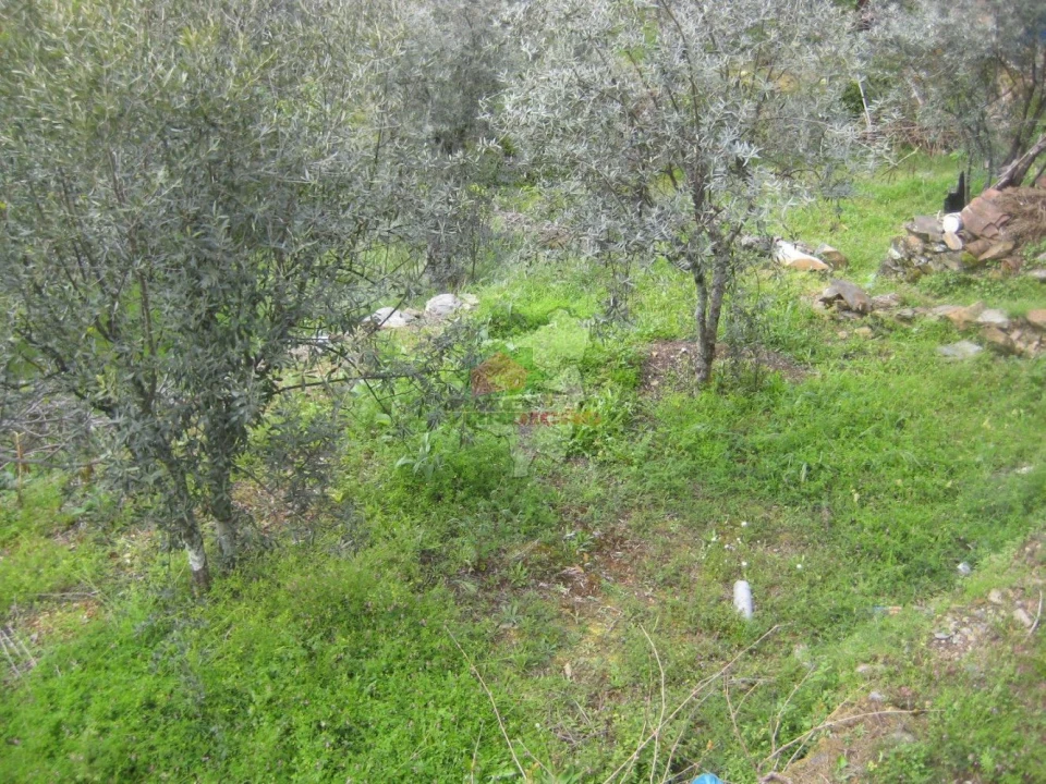 Moradia T2 para Venda em Oleiros-Amieira Foto 16