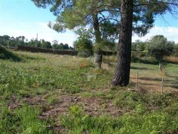 Terreno para Venda em Cabeçudo