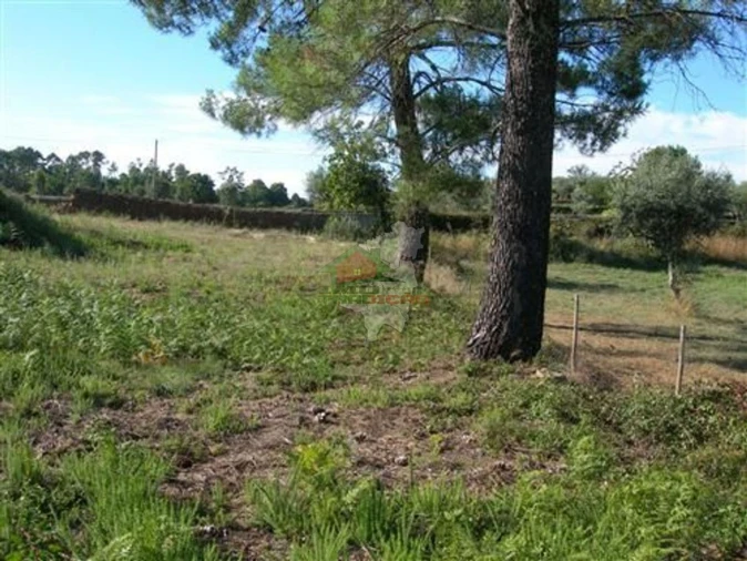 Terreno para Venda em Cabeçudo Foto 3