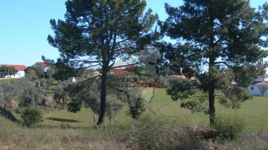 Terreno para Venda em Cabeçudo