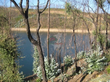 Terreno para Venda em Alvaro