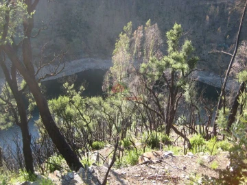 Terreno para Venda em Alvaro