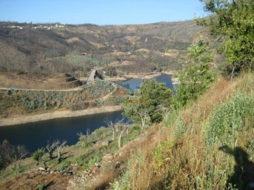 Terreno para Venda em Alvaro