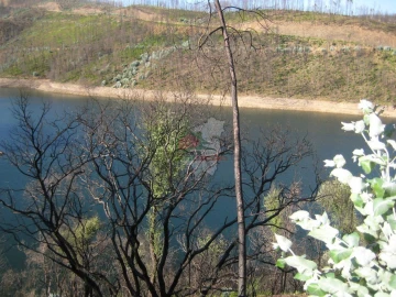 Terreno para Venda em Alvaro