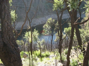 Terreno para Venda em Alvaro