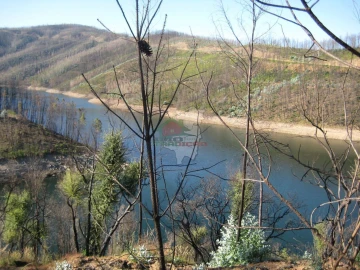 Terreno para Venda em Alvaro