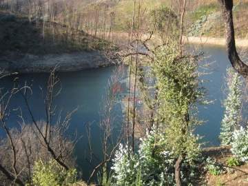 Terreno para Venda em Alvaro
