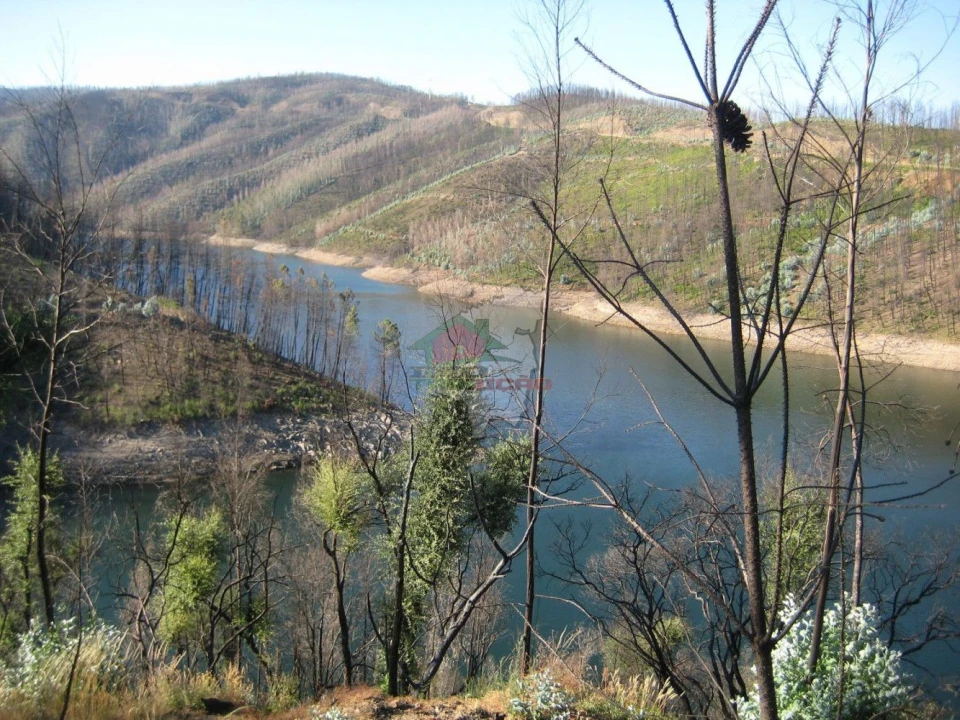 Terreno para Venda em Alvaro Foto 7