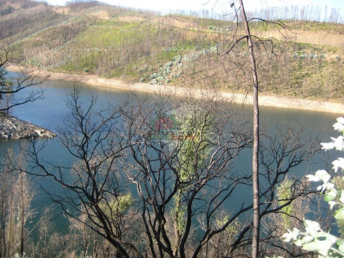 Terreno para Venda em Alvaro Foto 8