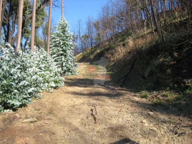 Terreno para Venda em Alvaro Foto 10