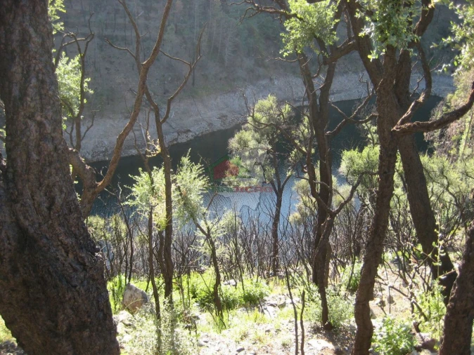 Terreno para Venda em Alvaro Foto 3
