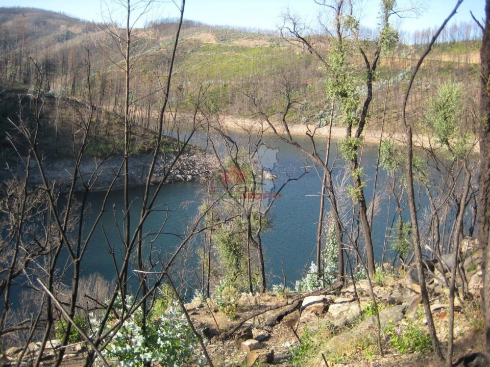 Terreno para Venda em Alvaro Foto 15