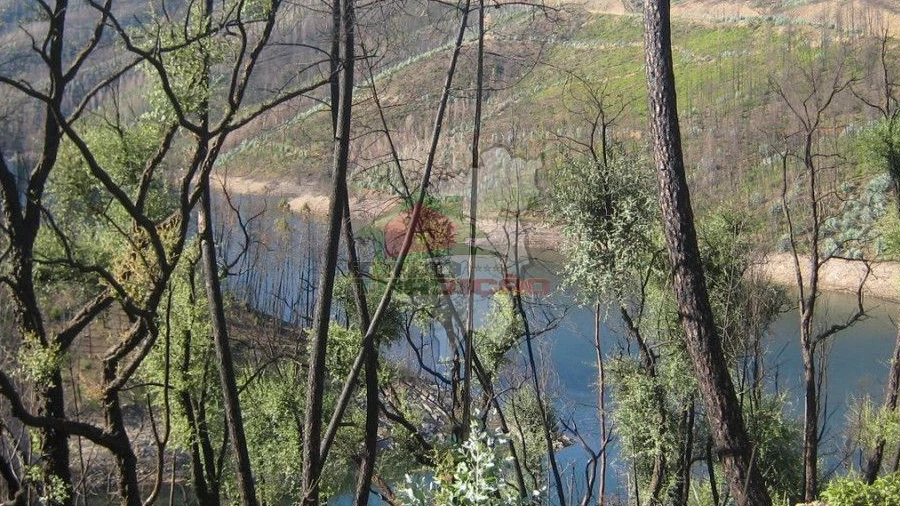 Terreno para Venda em Alvaro