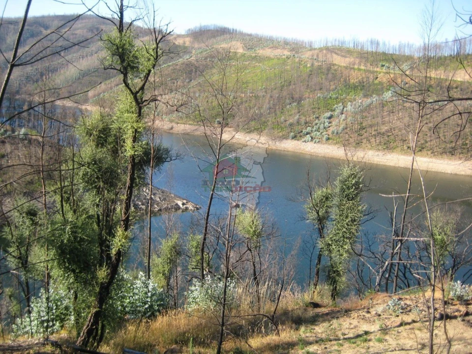 Terreno para Venda em Alvaro Foto 4