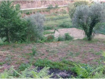 Terreno para Venda em Figueiró dos Vinhos e Bairradas