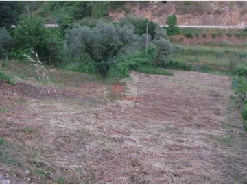 Terreno para Venda em Figueiró dos Vinhos e Bairradas