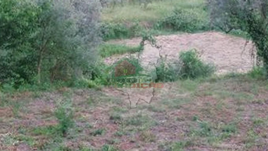 Terreno para Venda em Figueiró dos Vinhos e Bairradas