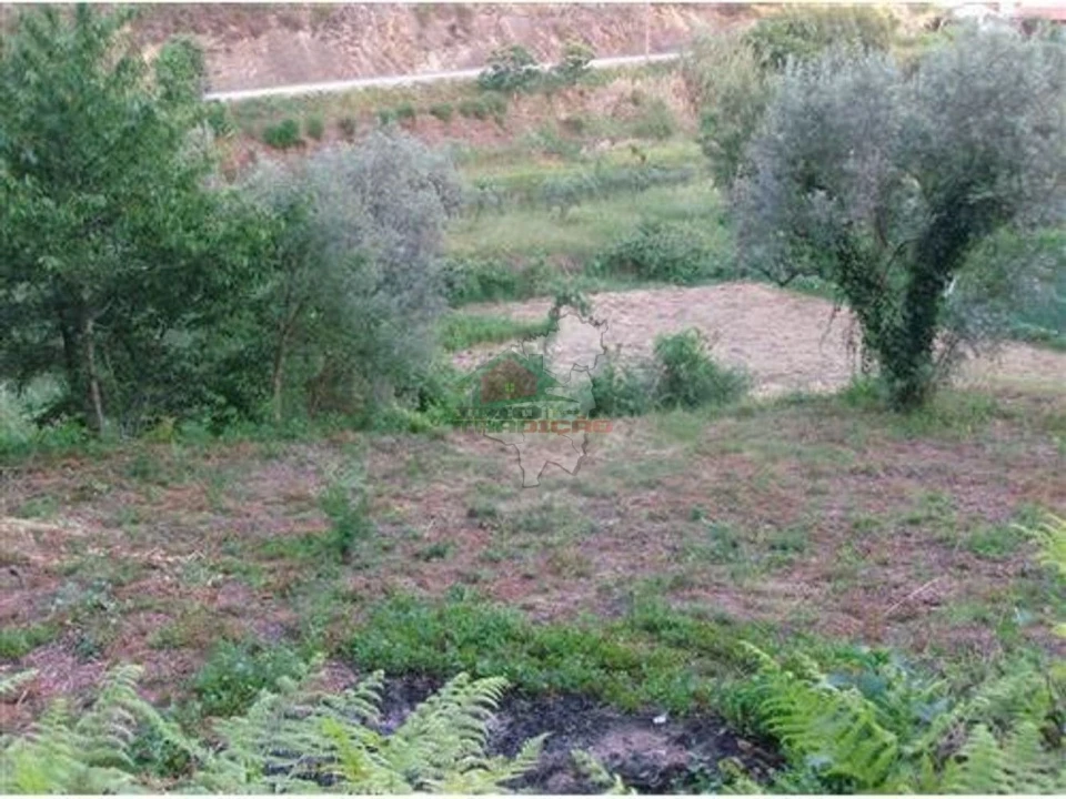 Terreno para Venda em Figueiró dos Vinhos e Bairradas Foto 1
