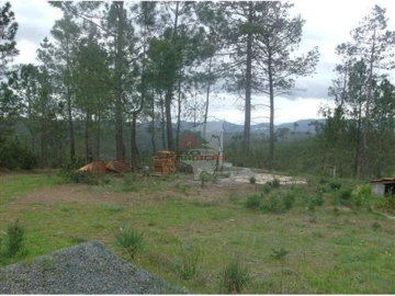 Terreno para Venda em Cumeada e Marmeleiro