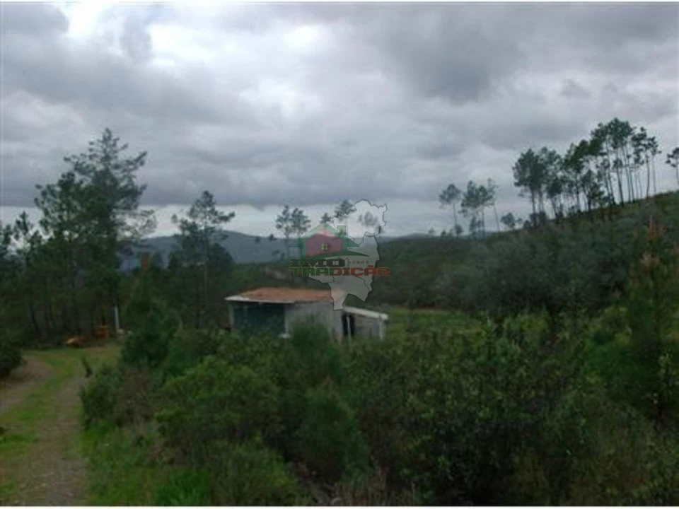 Terreno para Venda em Cumeada e Marmeleiro Foto 4