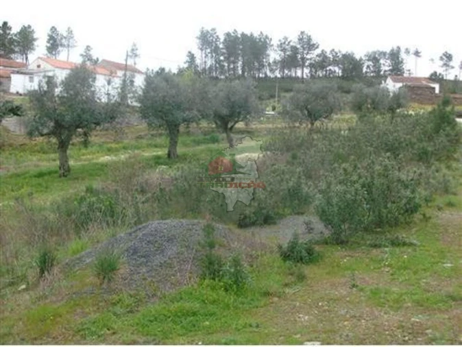 Terreno para Venda em Cumeada e Marmeleiro