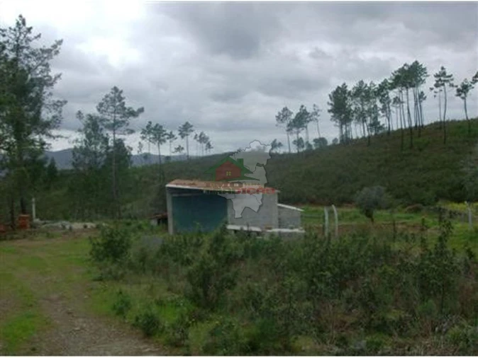 Terreno para Venda em Cumeada e Marmeleiro Foto 3