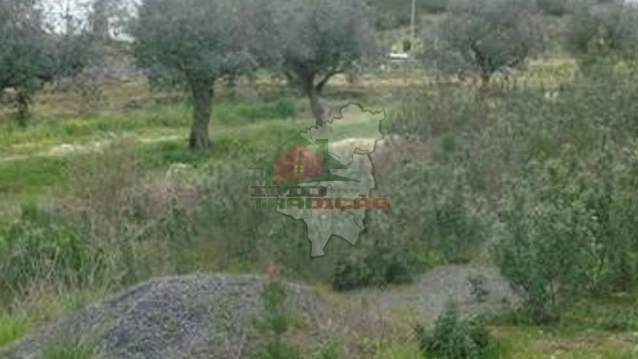Terreno para Venda em Cumeada e Marmeleiro