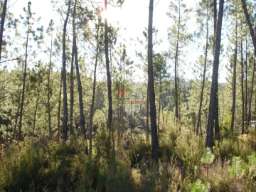 Terreno para Venda em Oleiros-Amieira