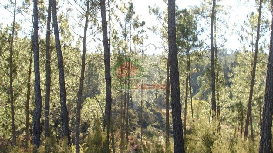 Terreno para Venda em Oleiros-Amieira