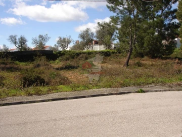 Terreno para Venda em Cernache do Bonjardim, Nesperal e Palhais