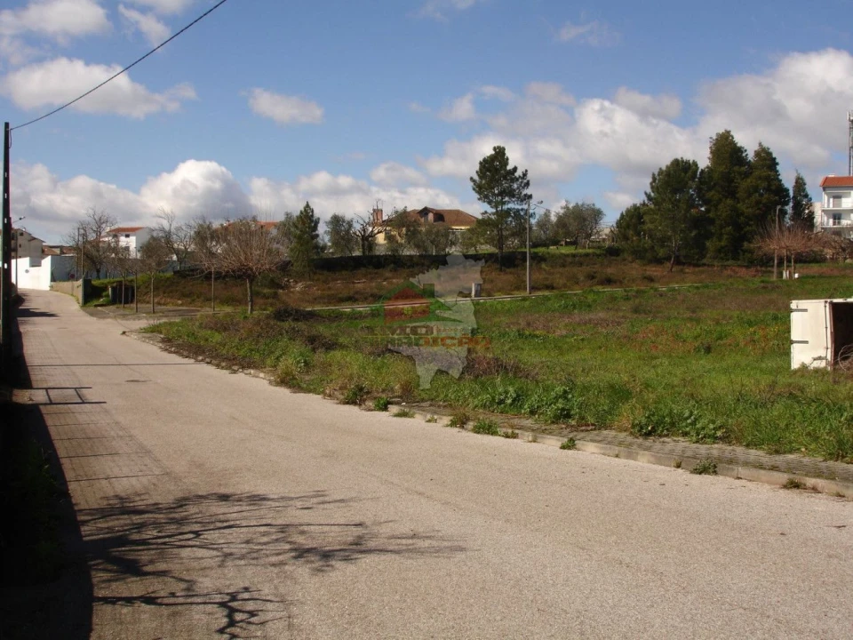 Terreno para Venda em Cernache do Bonjardim, Nesperal e Palhais Foto 3