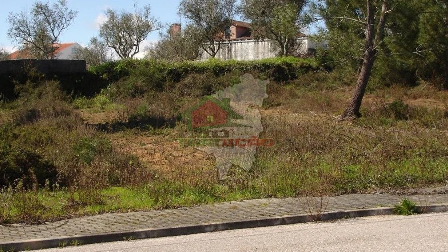 Terreno para Venda em Cernache do Bonjardim, Nesperal e Palhais