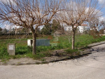 Terreno para Venda em Cernache do Bonjardim, Nesperal e Palhais